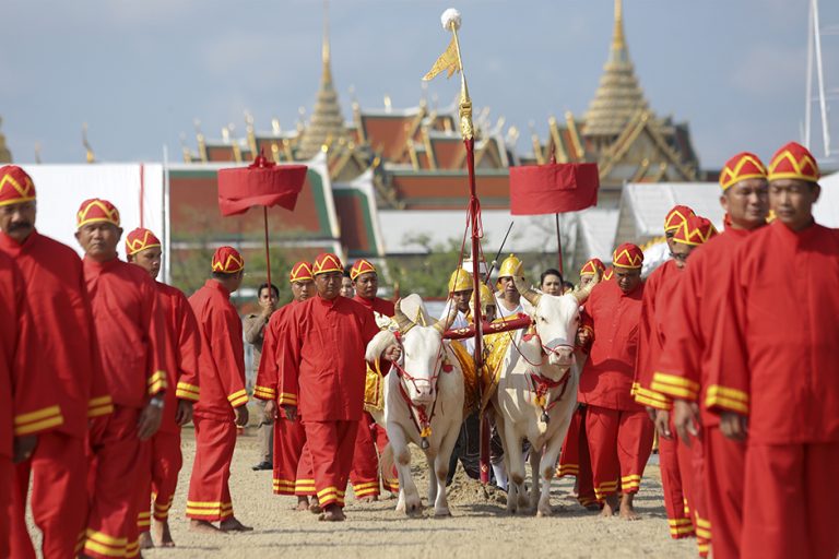 Kongelig Pl ying Ceremony Religious Konge Ritual I Bangkok Thailand Kongelig Pl ying Ceremony Religious Konge Ritual I Bangkok Thailand