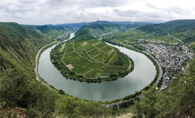 De Moezelvallei: een gids voor wijnkenners voor de schilderachtige regio