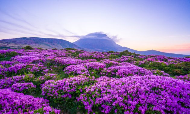 Reisef&uuml;hrer f&uuml;r die Insel Jeju: Hallasan-Nationalpark