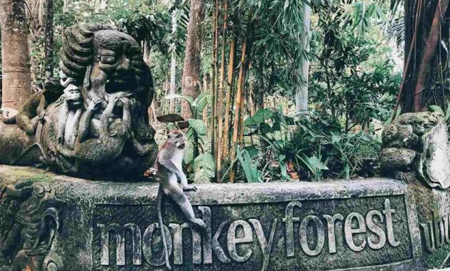 Sacred Monkey Forest Ubud: Visitor Guide & Travel Tips