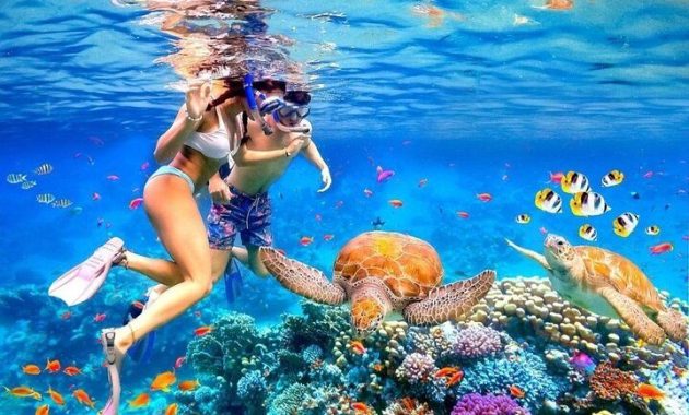 Snorkeling and Diving in Bali: Best Spots for Underwater Adventures