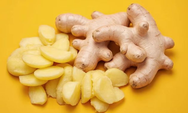 Ginger (Jahe) Indonesia Spices Guide