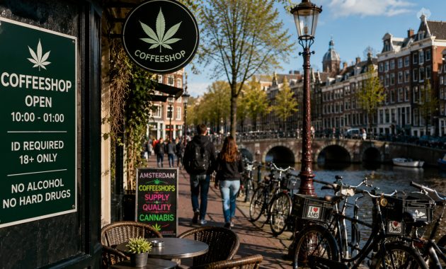 Cannabis Laws in the Netherlands Explained for Tourists
